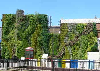 Edgware Road Station Green Wall.