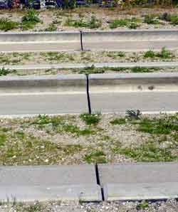 Luton Dunstable OBahn Guided Busway.