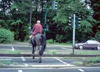 Horse (with rider) crossing guided busway.